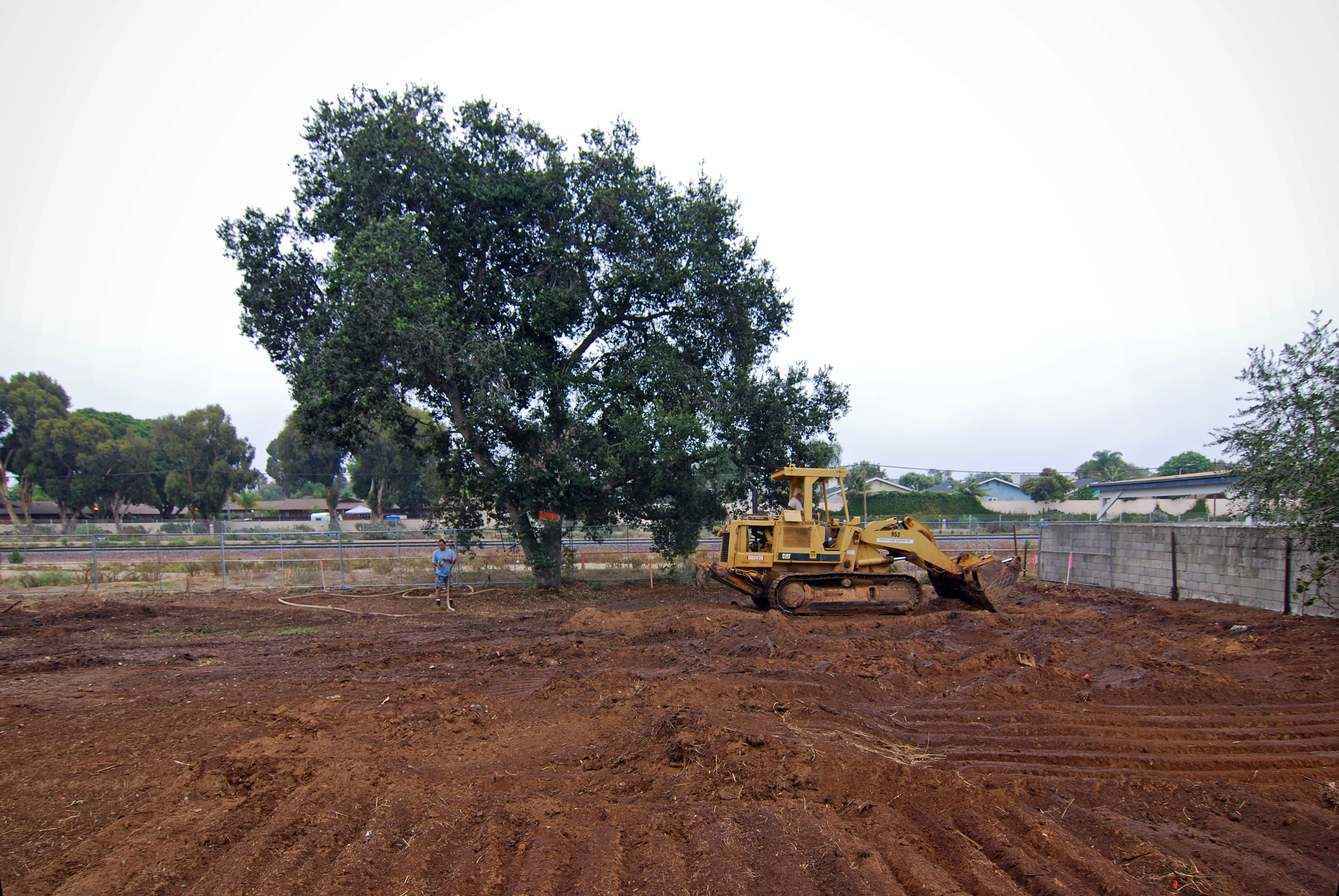 Grading | CP Juniper