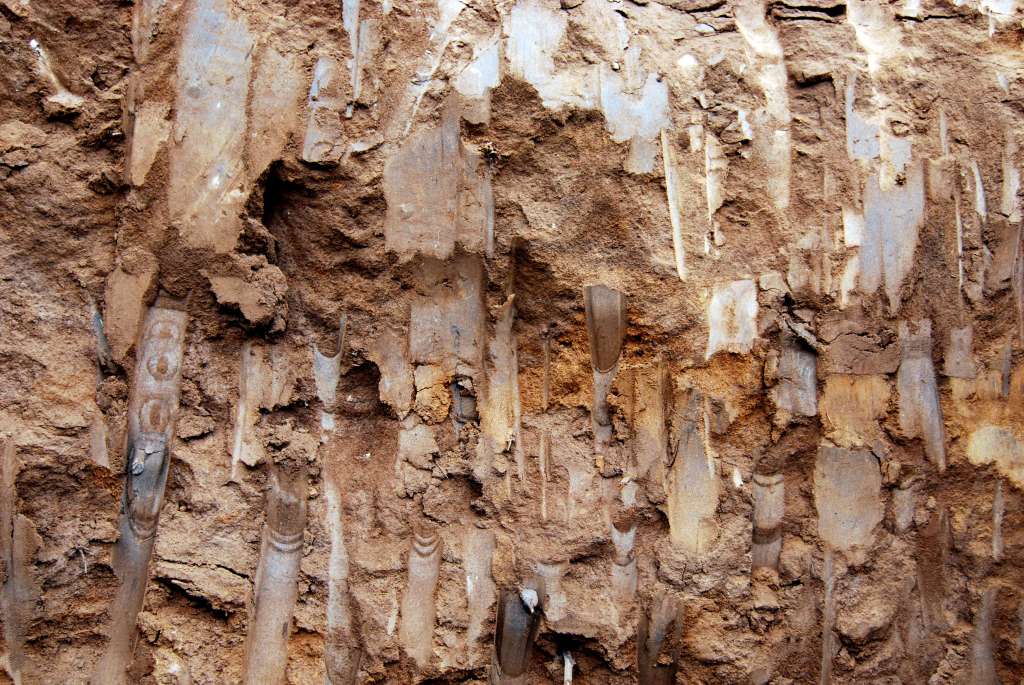 DSC_1590_alt1